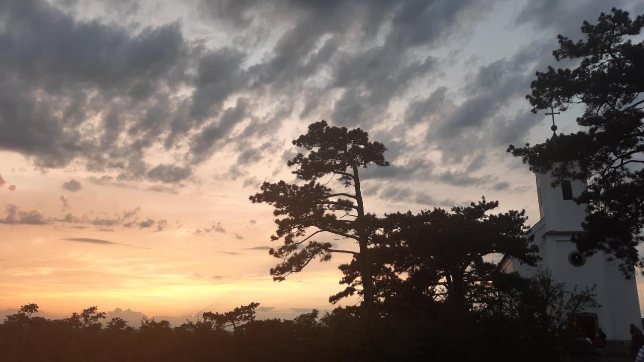 Balatongyörök Szalakota Hazヴィラ エクステリア 写真